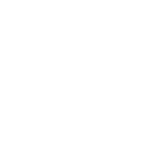 Years of Experience Icon